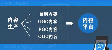 數(shù)字內(nèi)容制作服務(wù)在內(nèi)容運(yùn)營策略中的核心作用與實(shí)踐路徑分析