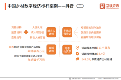 2022年中國鄉(xiāng)村數(shù)字經(jīng)濟(jì)發(fā)展 數(shù)字內(nèi)容制作服務(wù)的崛起與展望